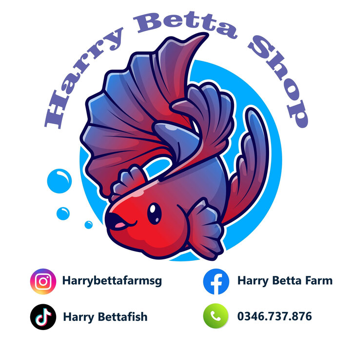 Harry Betta Farm Saigon