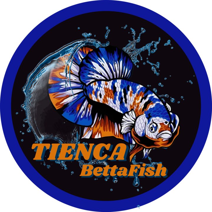 TienCa Bettafish