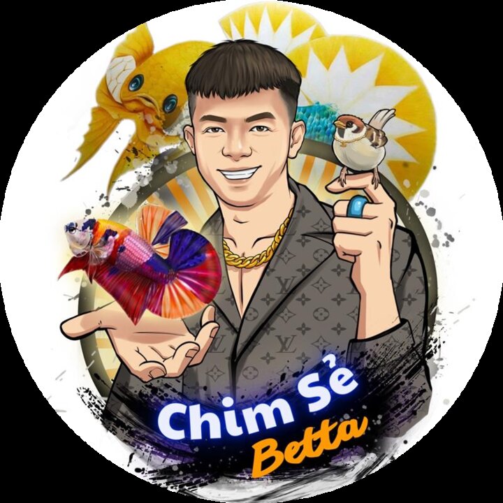 Chim sẻ Betta