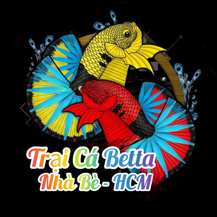 Trại Cá Betta