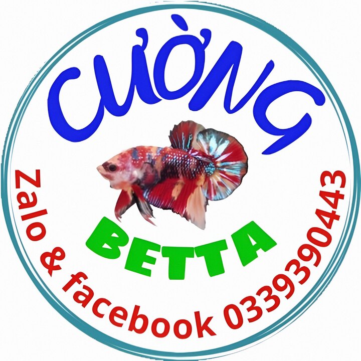 CƯỜNG BETTA