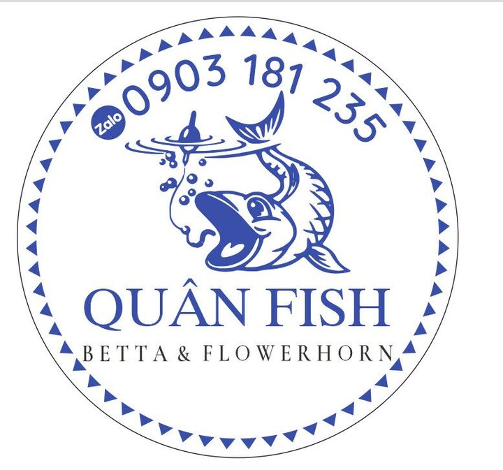 Quân fish