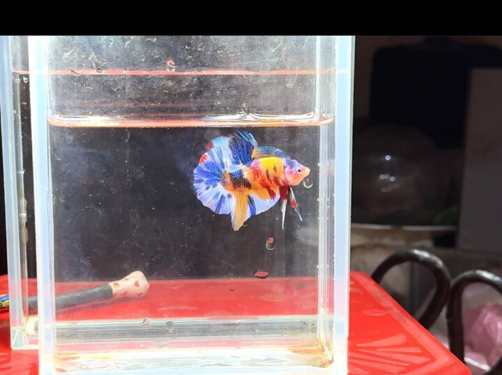 Trẻ sung khoẻ 🍀