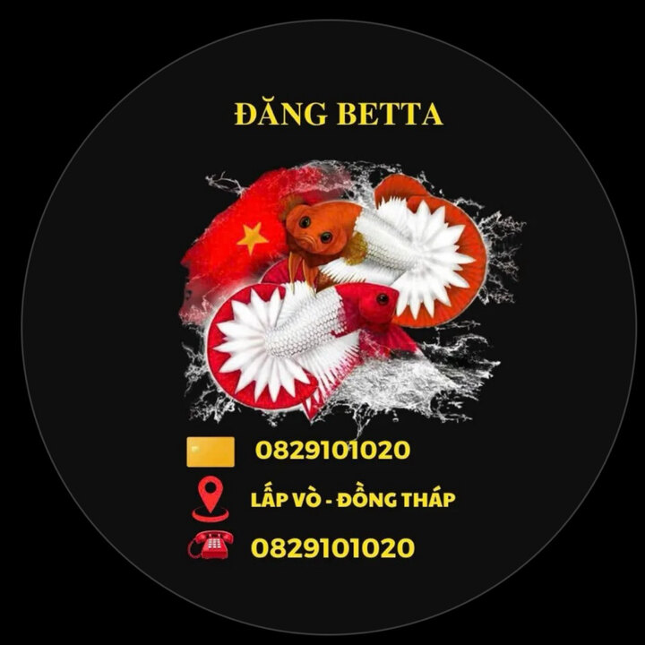 Đăng Betta