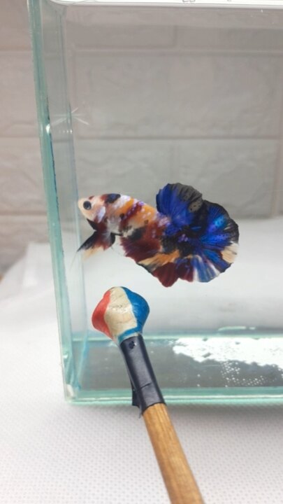 Nemo Galaxy
