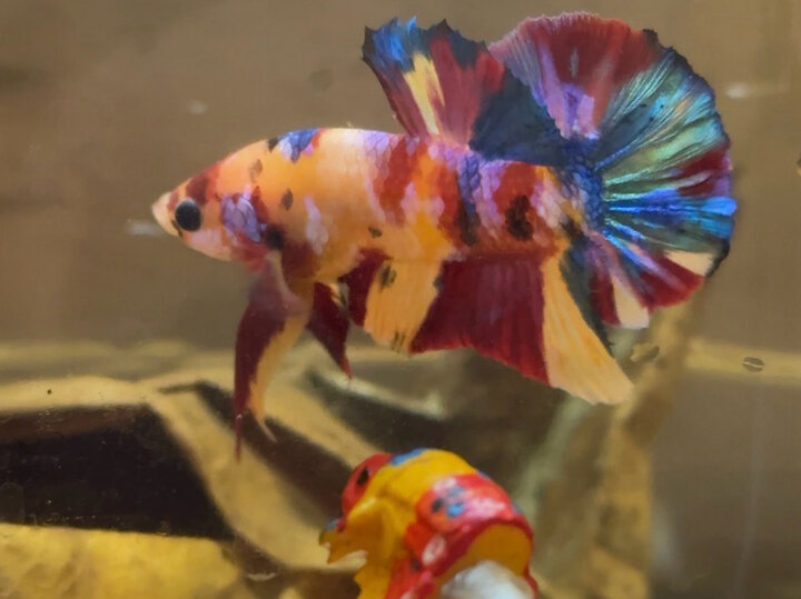 🌈🌈🌈