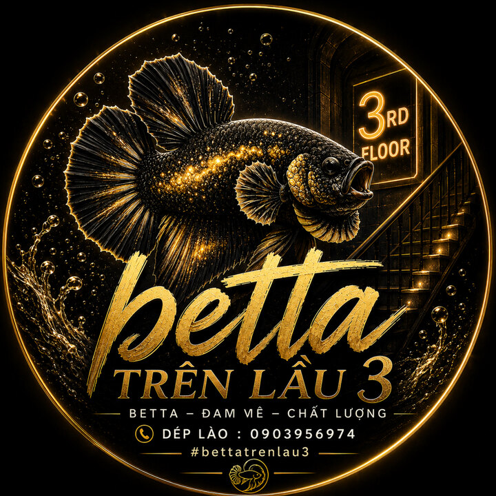 Betta trên lầu 3