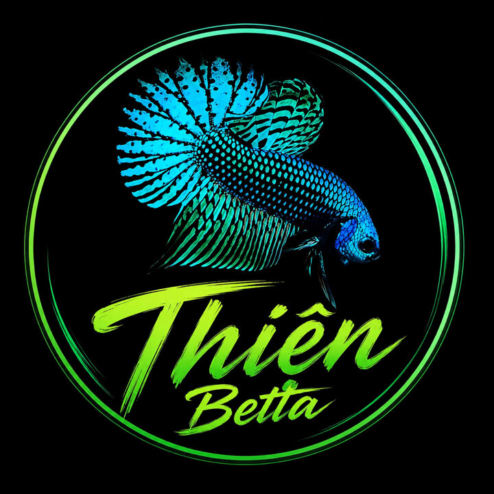 Thiện Betta